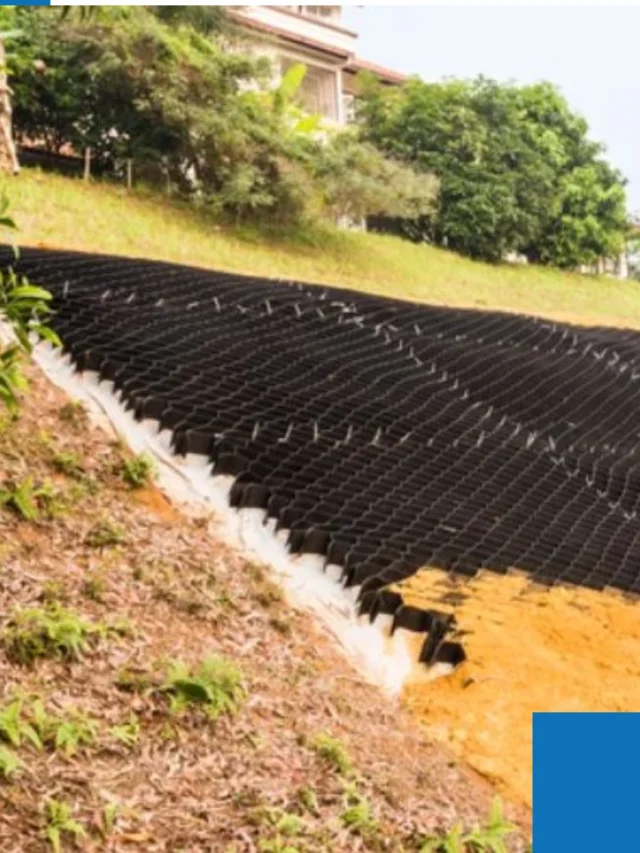 Web Stories 1 ways to prevent soil erosion