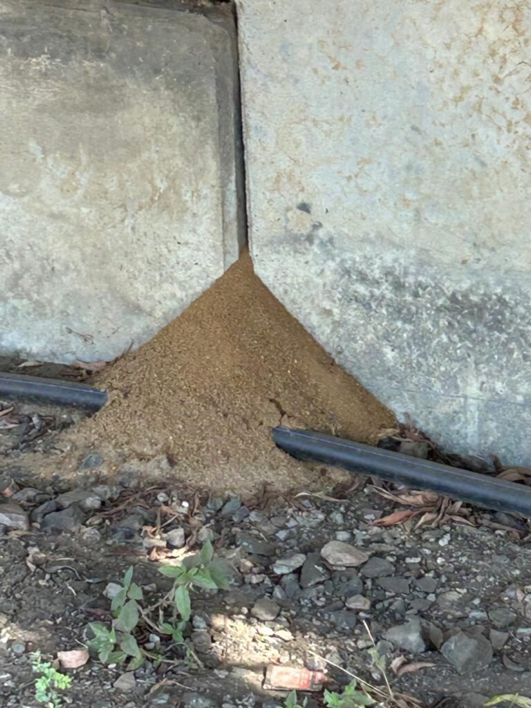re walls repair and rehablitation